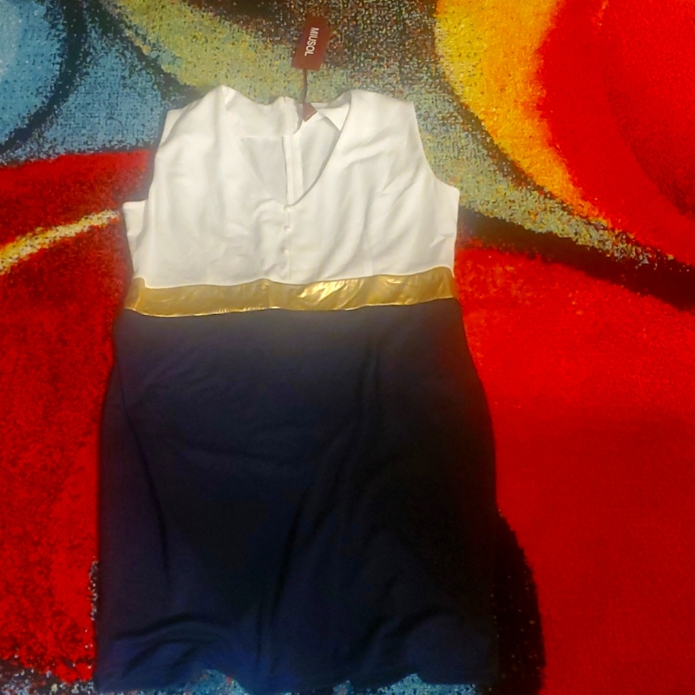 Navy and White Dress